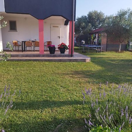 Apartmán Marijan Pula Pokoj fotografie